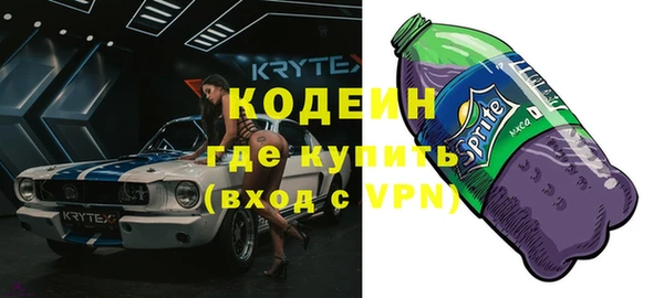 прущие грибы Осташков