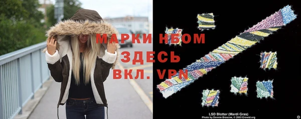 мдпв Абаза