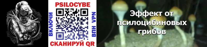 купить наркотики цена  Абакан  Галлюциногенные грибы Psilocybe 