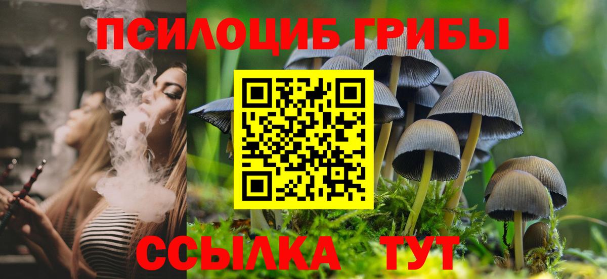 Абакан  Псилоцибиновые грибы MAGIC MUSHROOMS  Псилоцибиновые грибы мицелий  Вход с VPN 