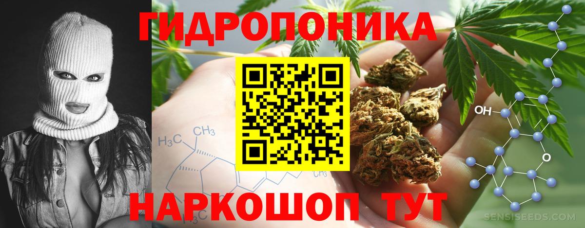 Бошки марихуана ГИДРОПОН  Вход с VPN  Бошки марихуана Amnesia  Абакан  Конопля THC 21%  МАРИХУАНА ГИДРОПОН 